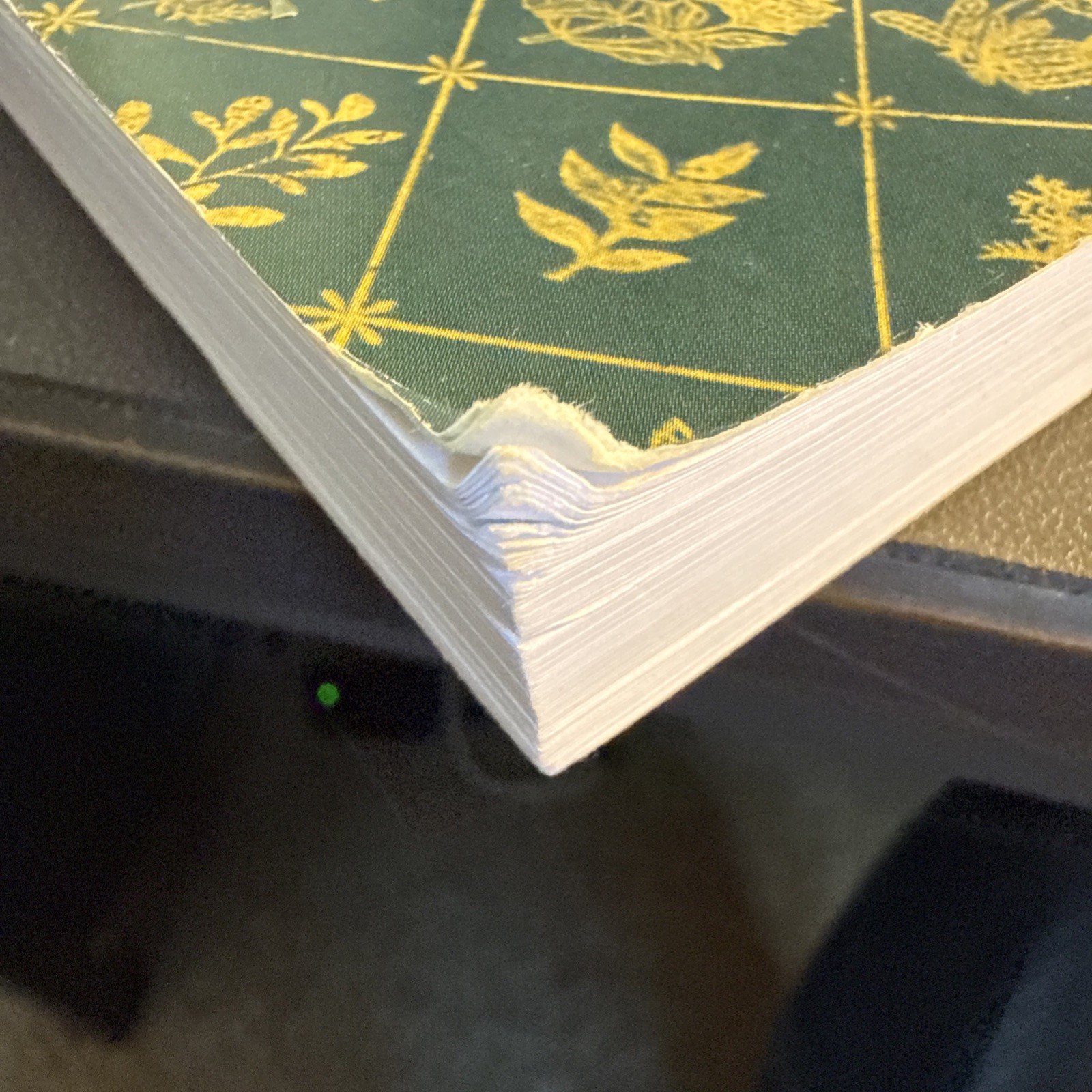 The Lost Book of Herbal Remedies