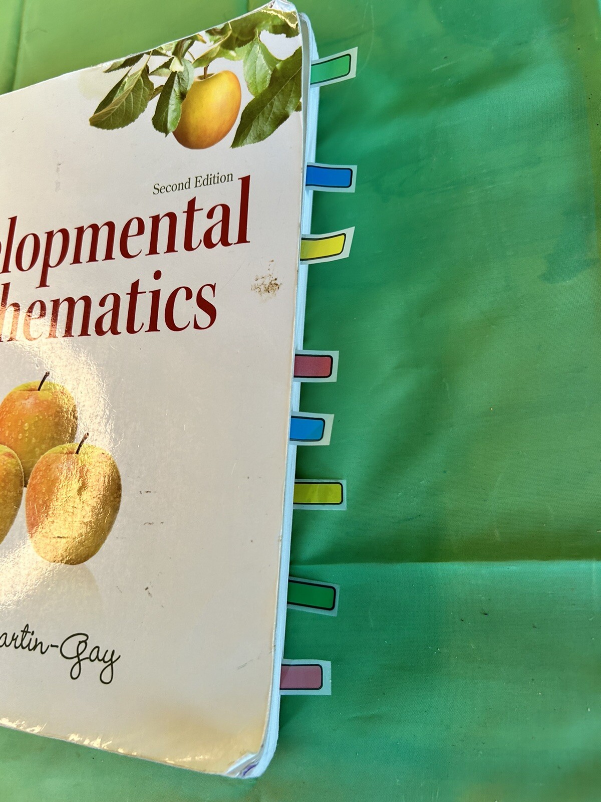 The Martin-Gay Paperback Ser.: Developmental Mathematics by Elayn Martin-Gay…
