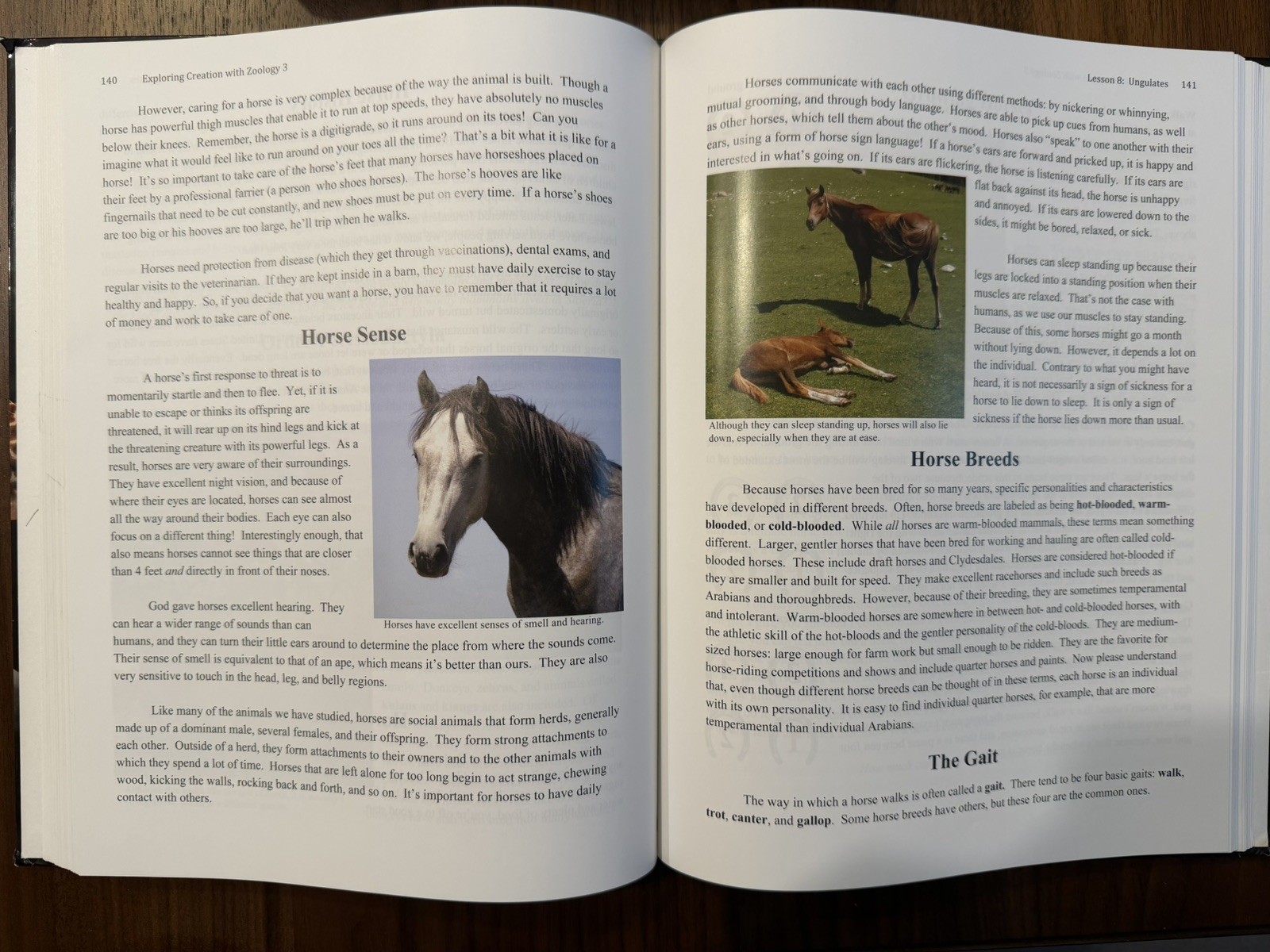 Apologia Exploring Creation With Zoology Set: Books 1, 2 & 3