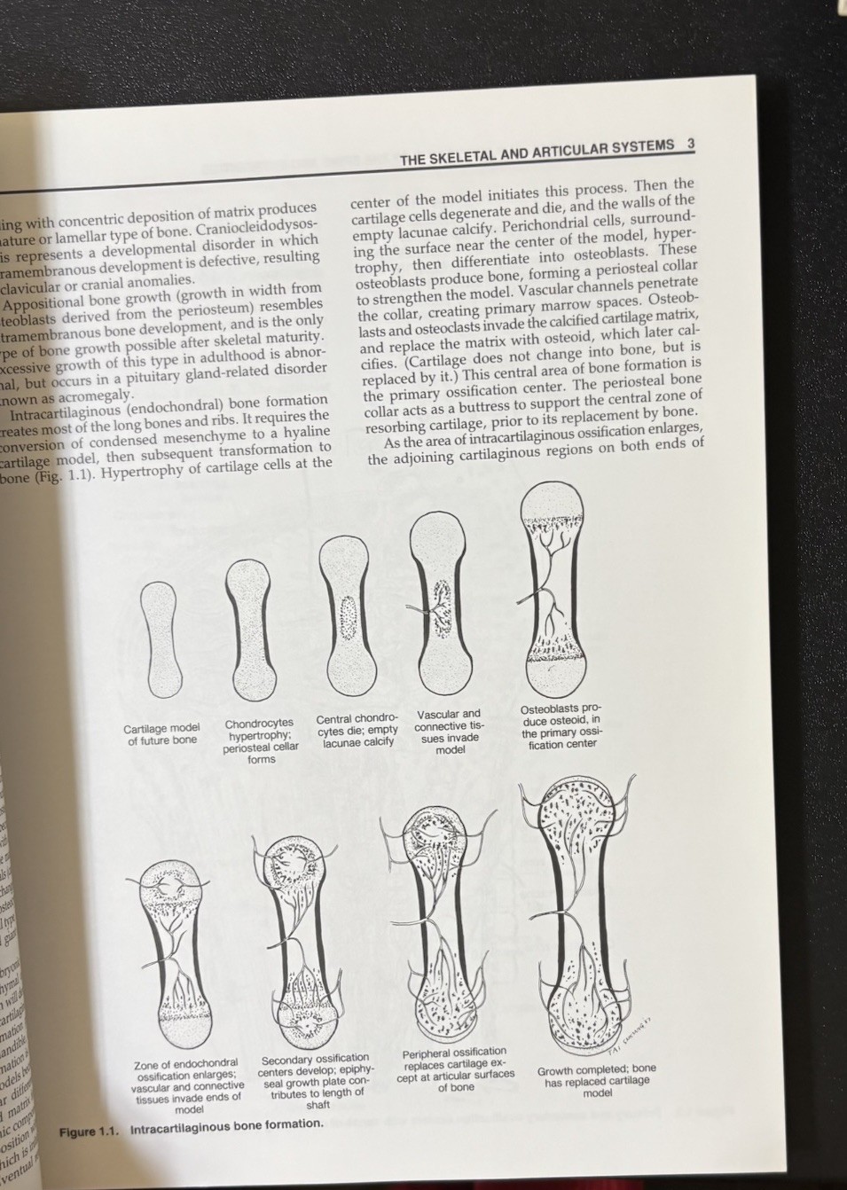 Manual Examination & Treatment of the Spine and Extremities by Wadsworth PB