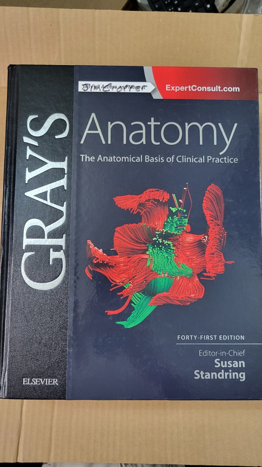 Gray&rsquo;s Anatomy: The Anatomical Basis of Clinical Practice 41st Edition