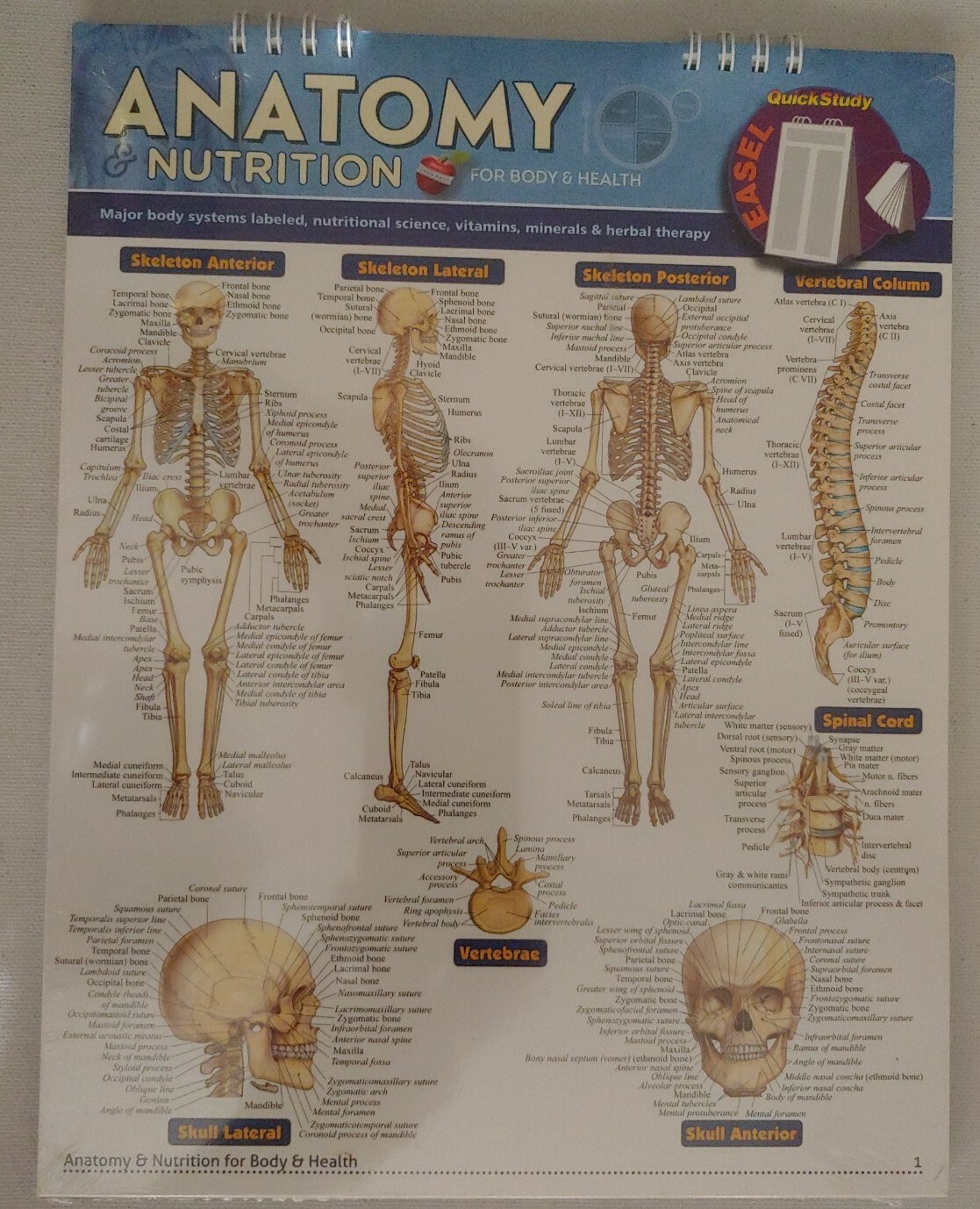 Anatomy & Nutrition [Quickstudy Easel]