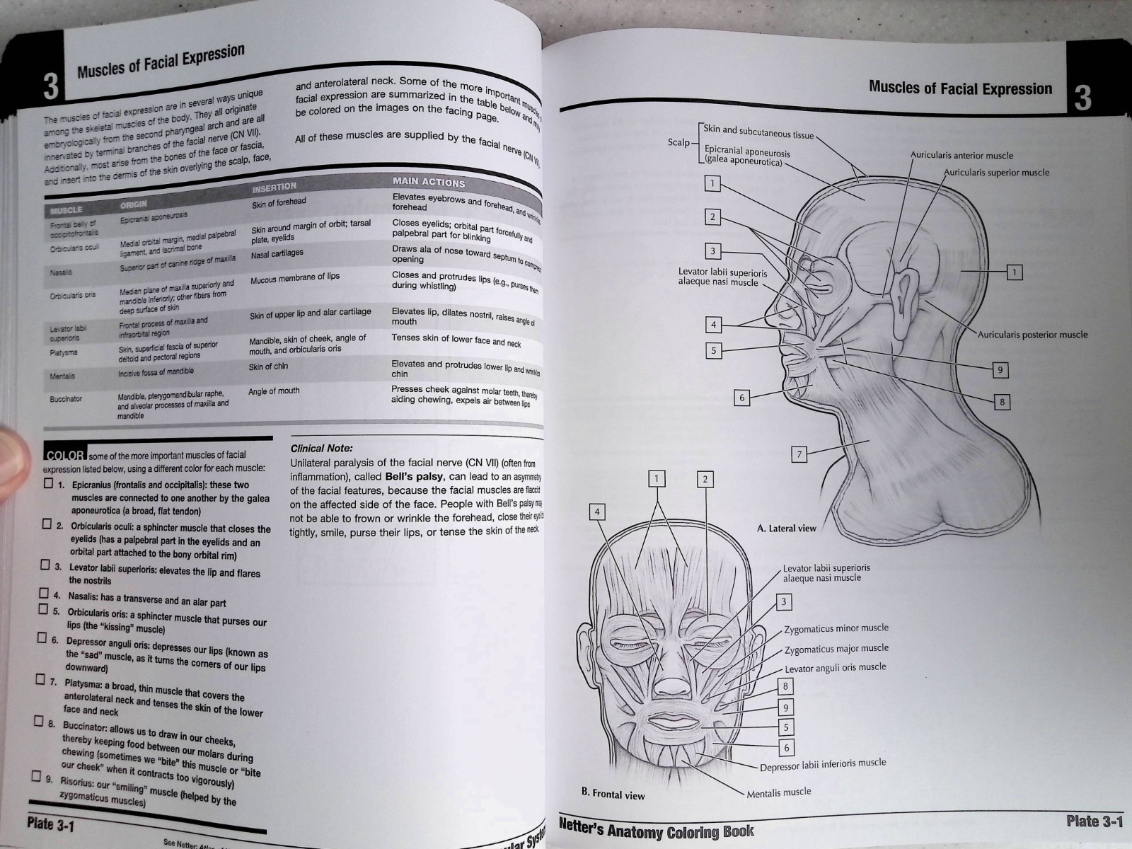 Netter&rsquo;s Anatomy Coloring Book by – John T. Hansen, 2nd Ed, Large Paperback 2018
