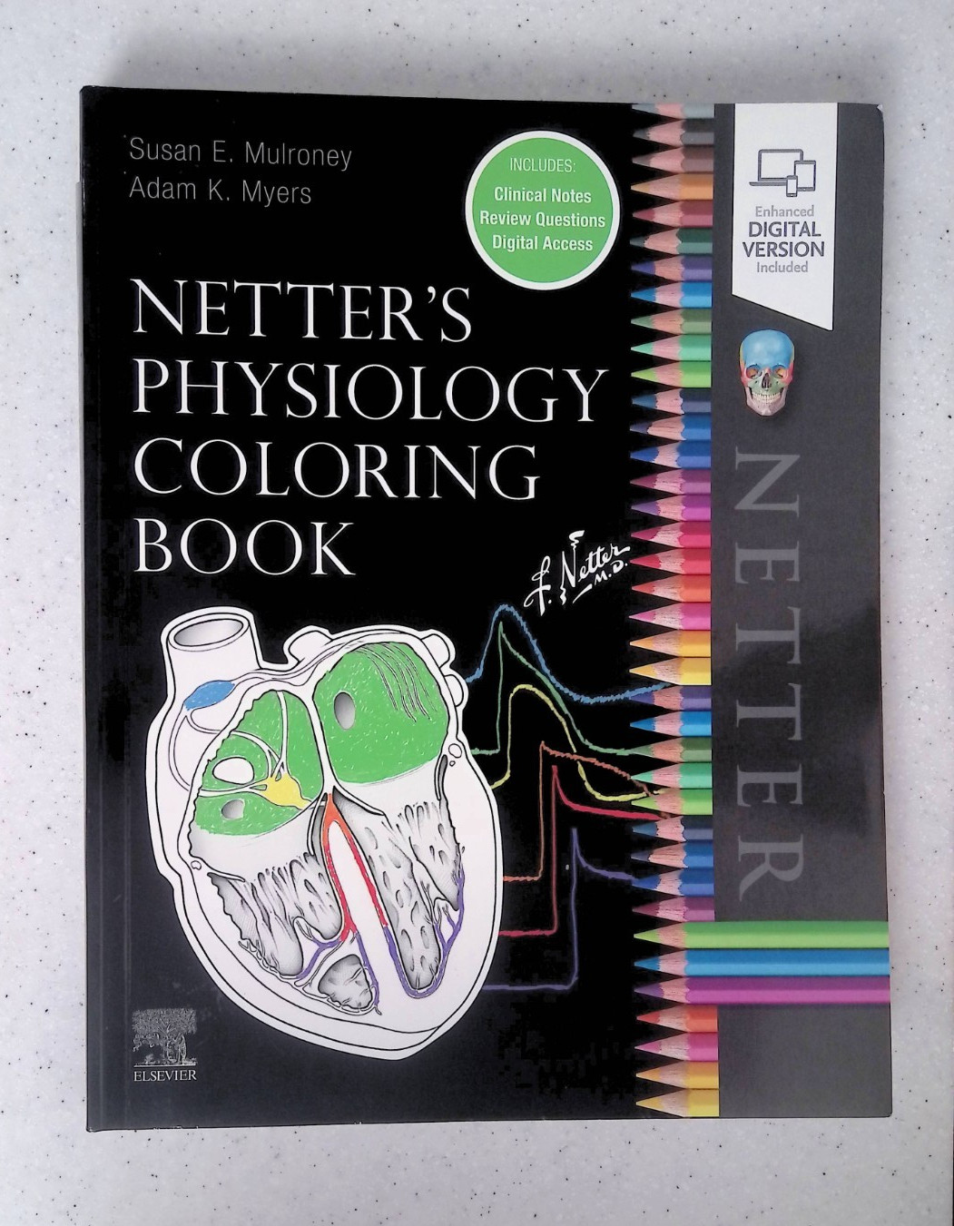 Netter&rsquo;s Physiology Coloring Book by -S. Mulroney/A. Myers, Large Paperback 2022