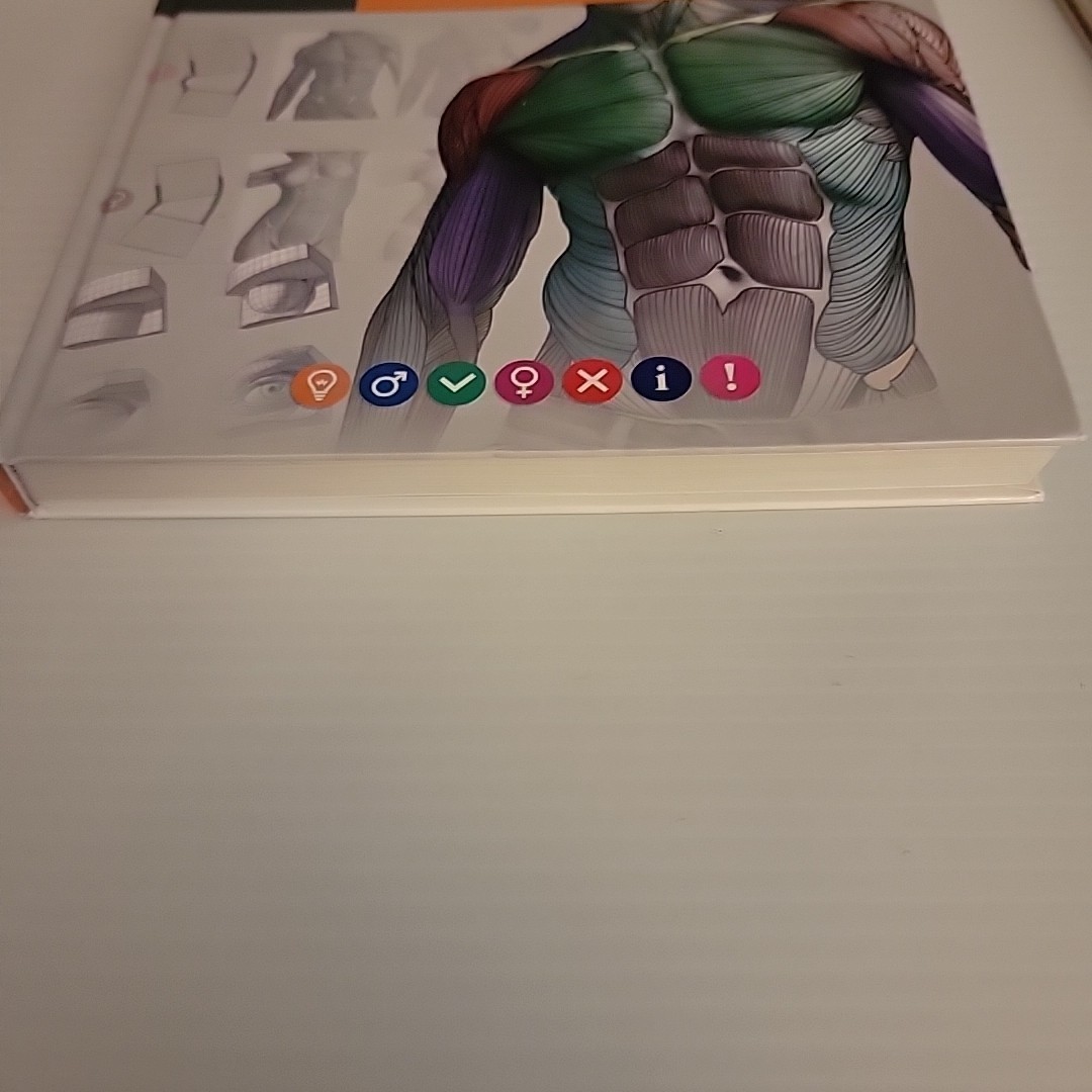 Anatomy for Sculptors Book – Spanish Version – *LN* – 2014 – Fine Art Resource