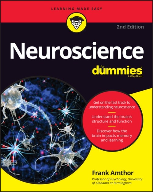 Neuroscience For Dummies Paperback Frank Amthor