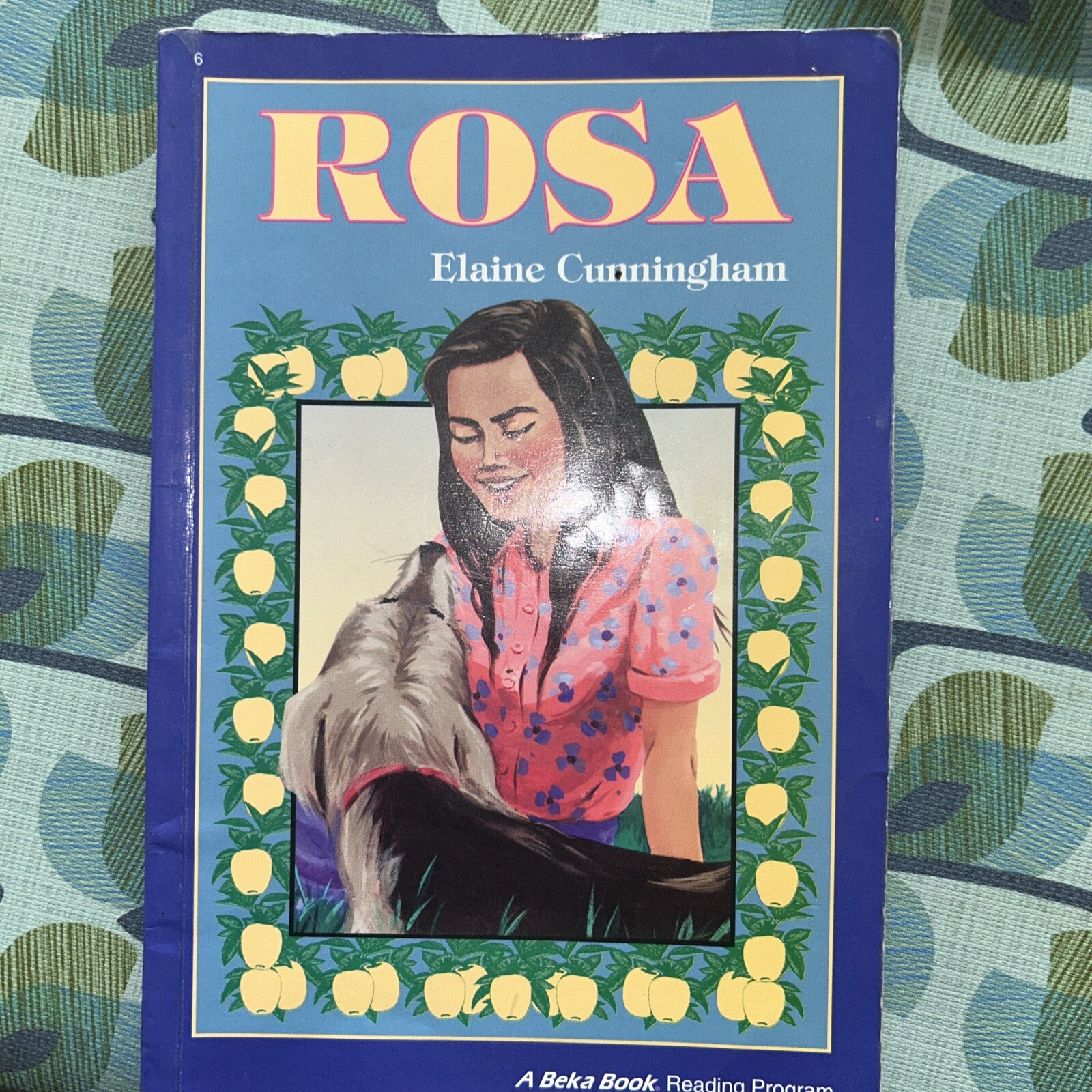 A Beka Books 6th Grade Readers Voyage Discovery Of America 2 Rosa Lot Of 3