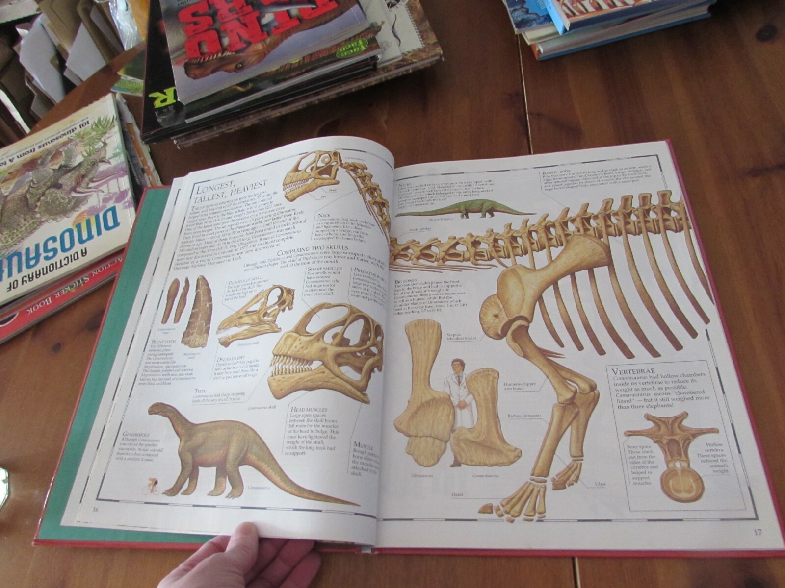 small bundle of 2 great children&rsquo;s books – DINOSAUR ATLAS & DINO DISCOVERY