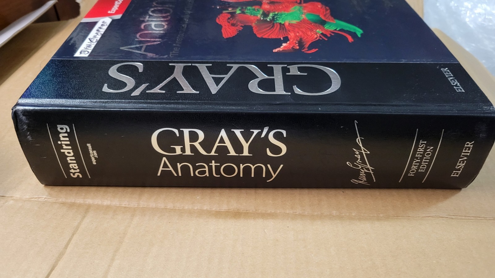 Gray&rsquo;s Anatomy: The Anatomical Basis of Clinical Practice 41st Edition