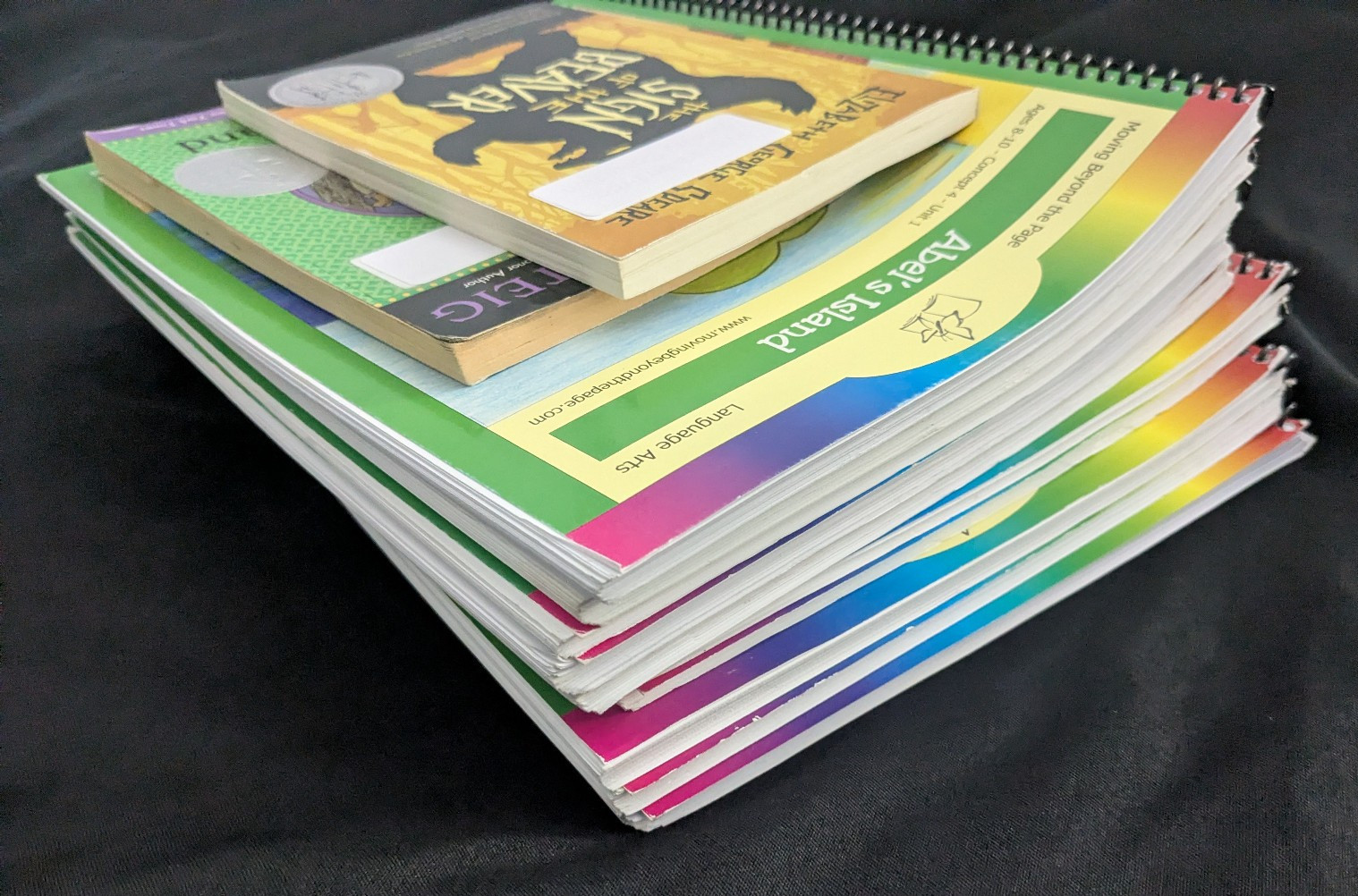 Moving Beyond the Page Ages 8-10 Unused Lot 10 Workbooks + 2 Lit Books