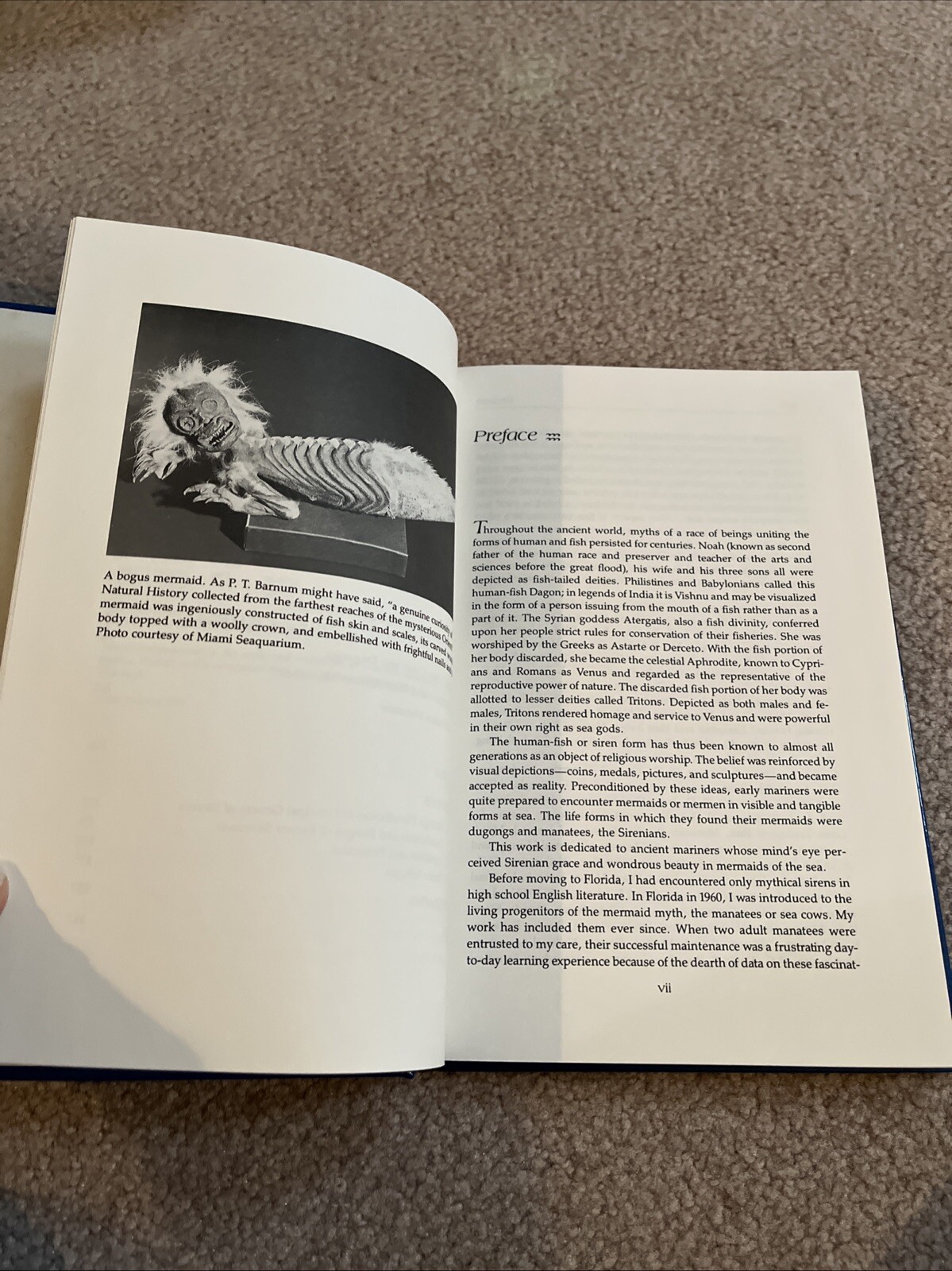 INTRODUCING THE MANATEE By Warren Zeiller – Hardcover *Excellent Condition*