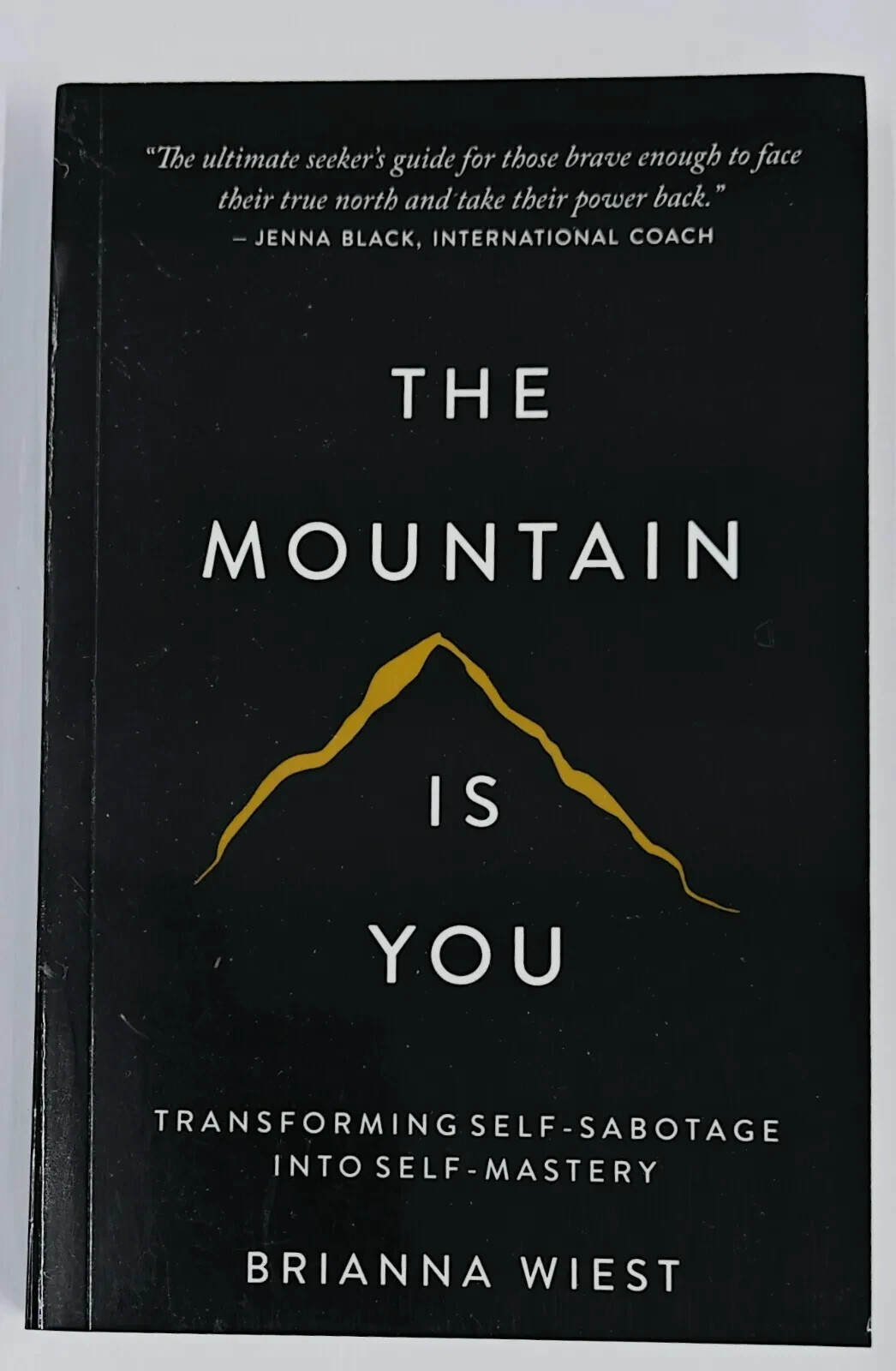 THE MOUNTAIN IS YOU BY BRIANNA WIEST
