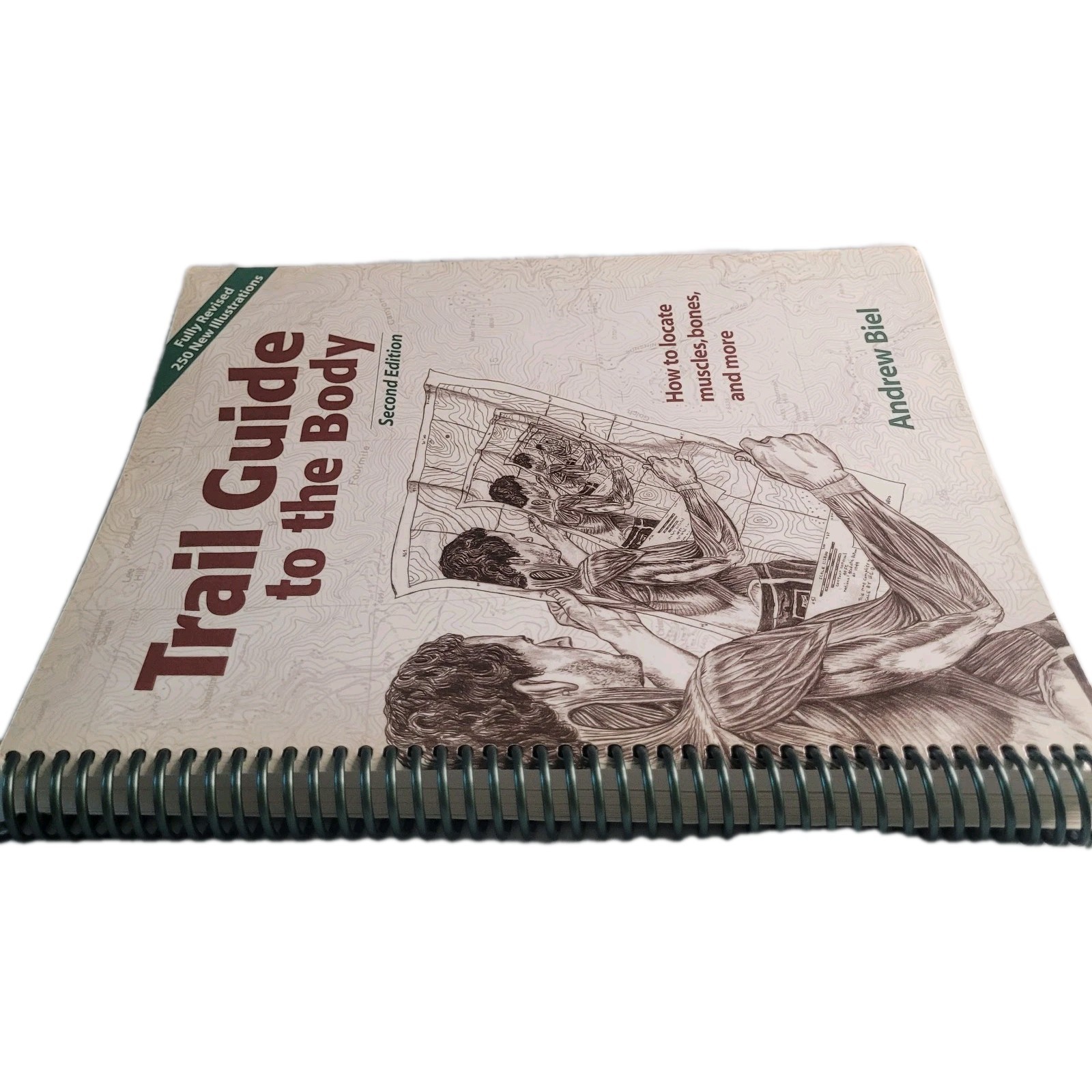 Trail Guide to the Body Andrew Biel 2001 Second Edition Anatomy Spiral-Bound