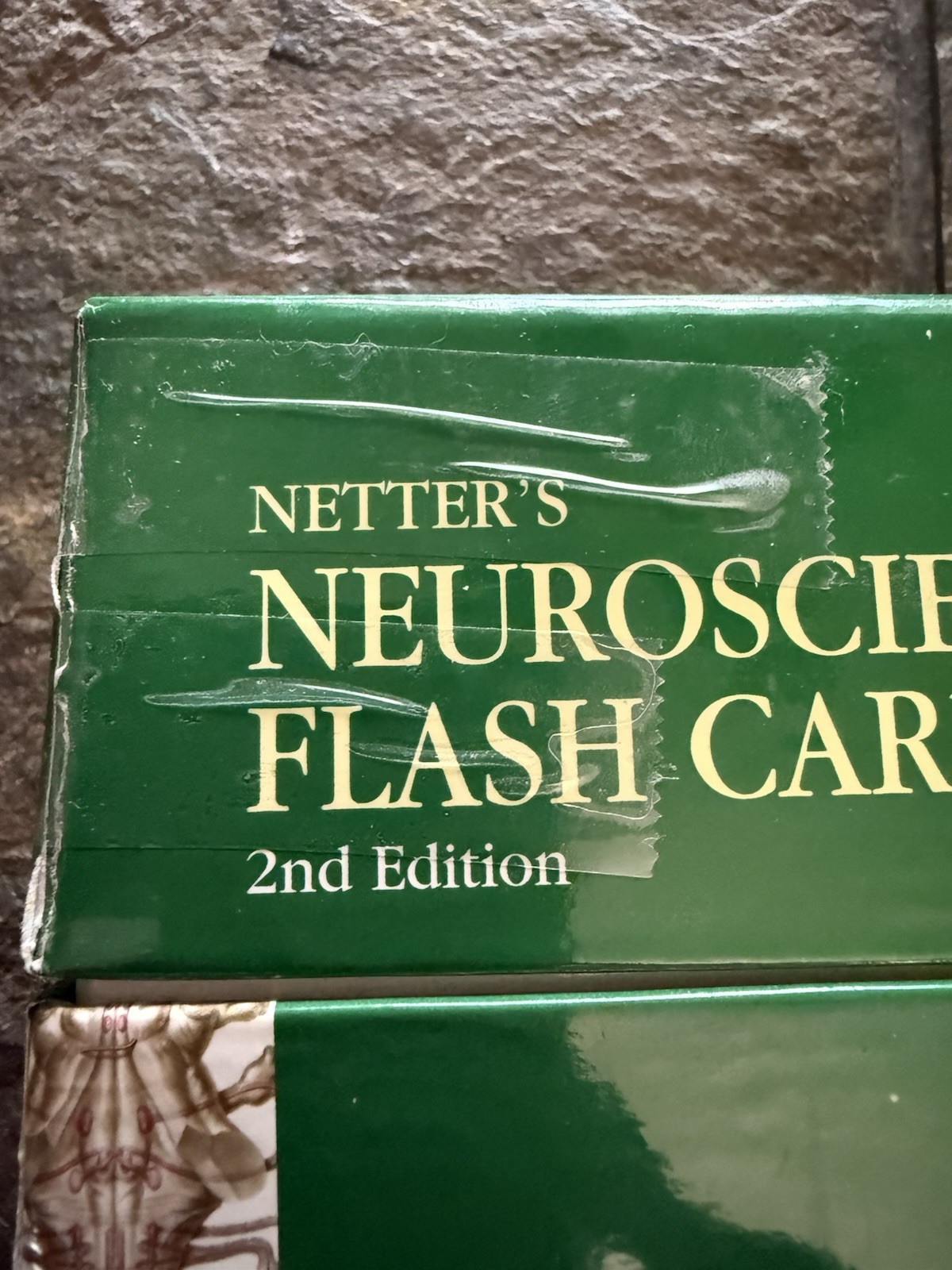 Netter Basic Science Ser.: Netter&rsquo;s Neuroscience Flash Cards by David L. Felten