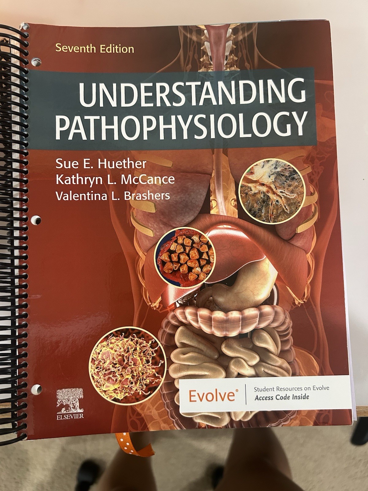 Understanding Pathophysiology Kathryn L. McCance Sue E. Huether
