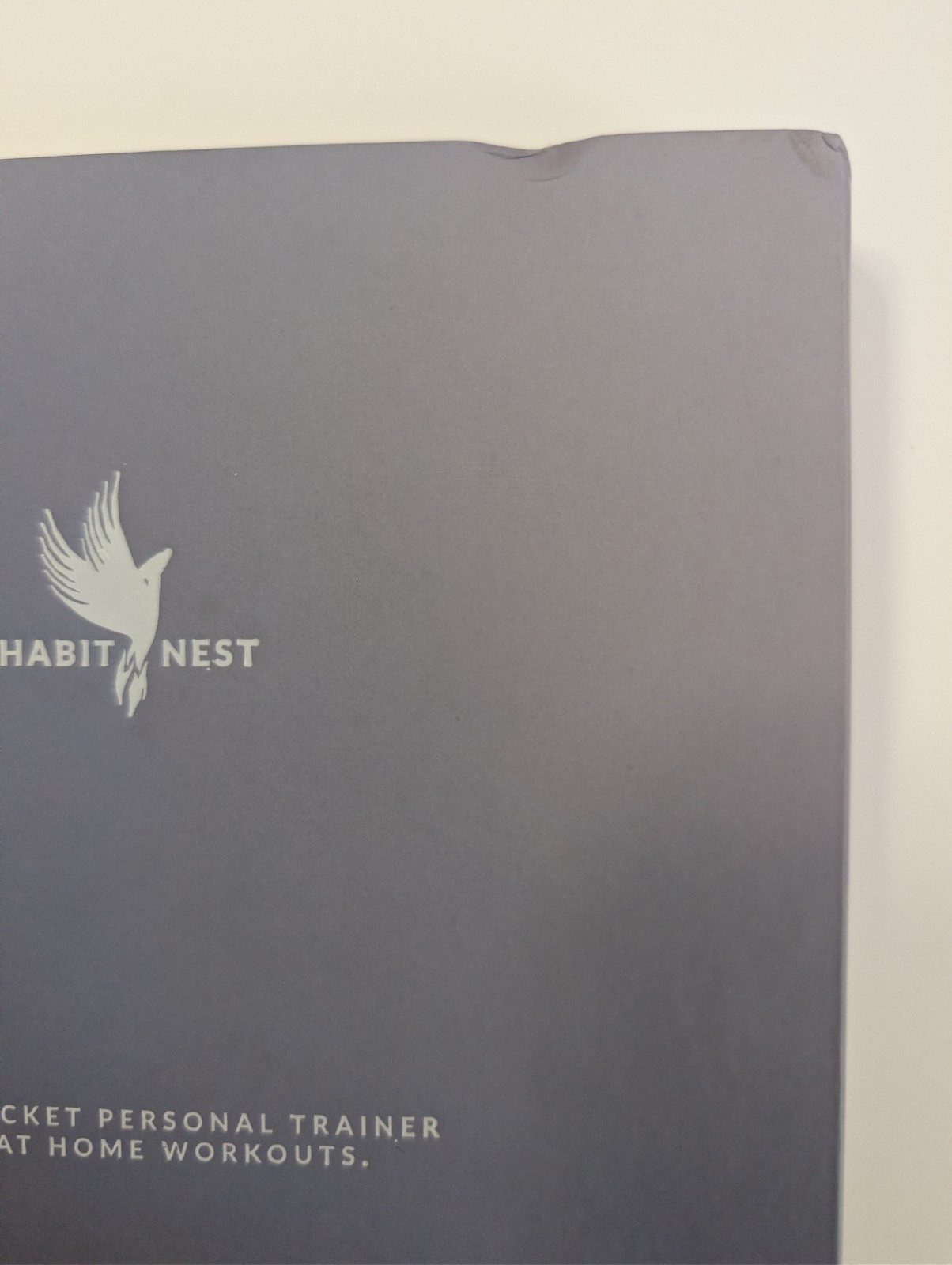 Bodyweight Home Workout Journal 13-Week Program No Equipment Needed Habit Nest
