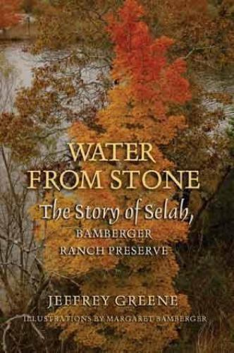 Louise Lindsey Merrick Natural Environment Ser.: Water from Stone : The Story…