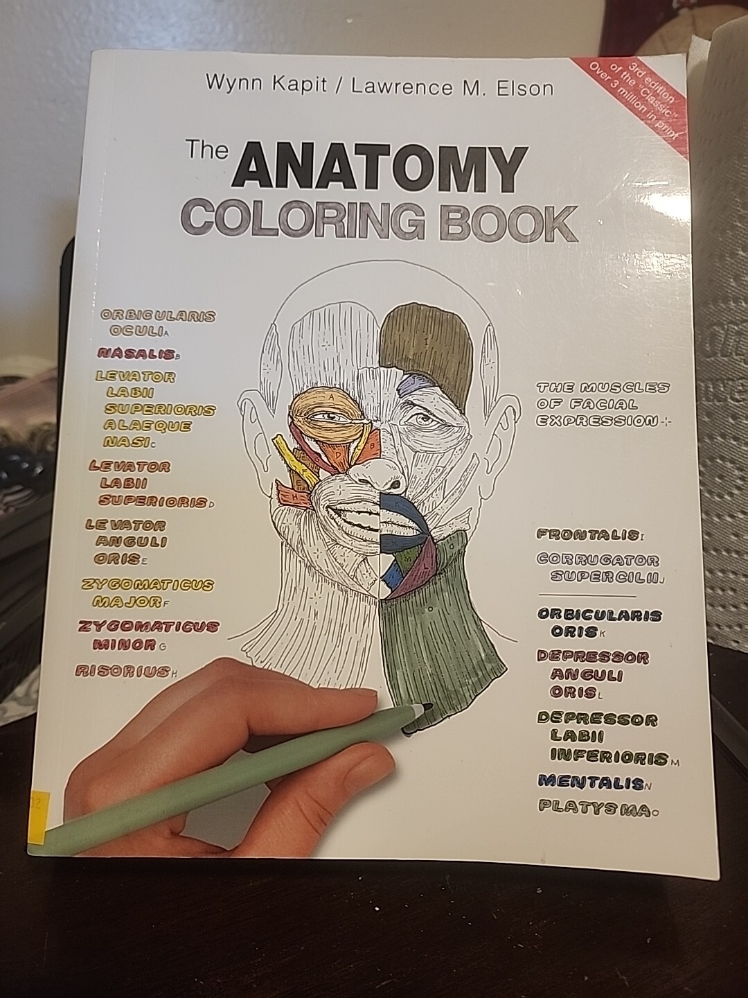 The Anatomy Coloring Book – Paperback By Kapit, Wynn See Images