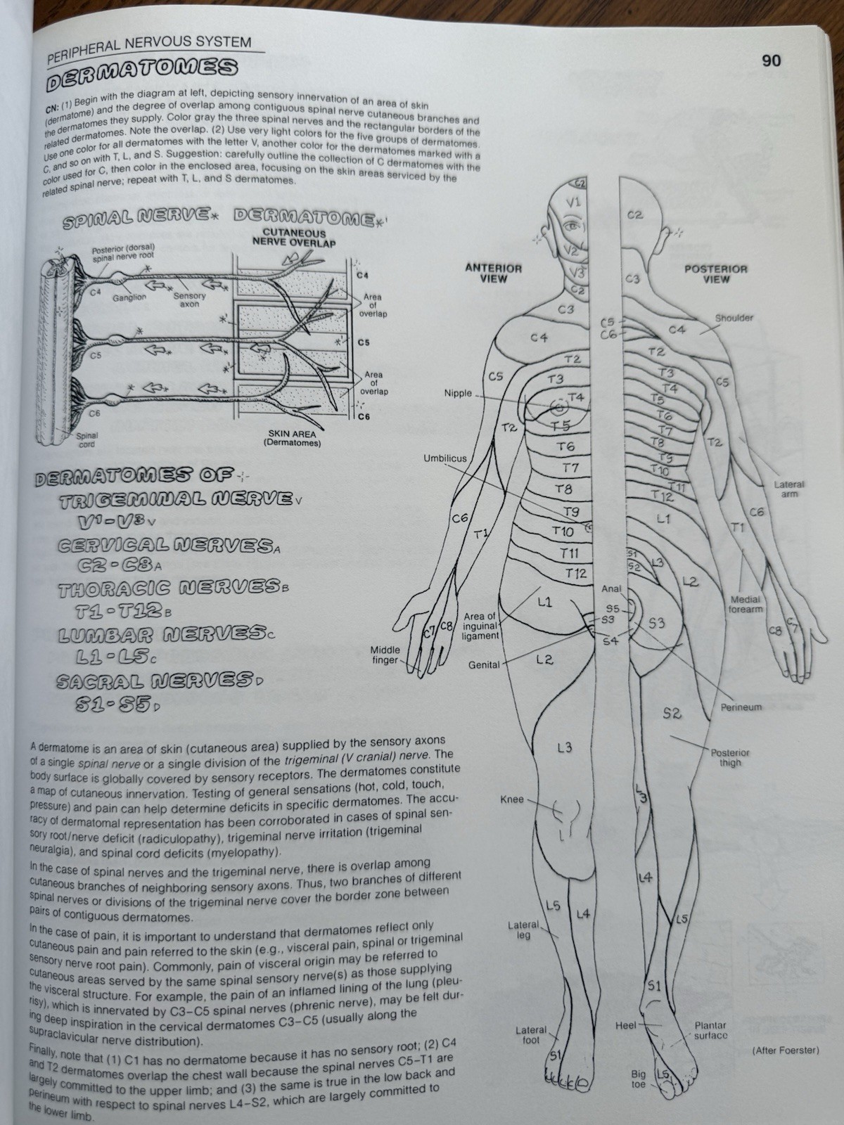 Anatomy Coloring Book by Wynn Kapit & Lawrence M. Elson Home school Science