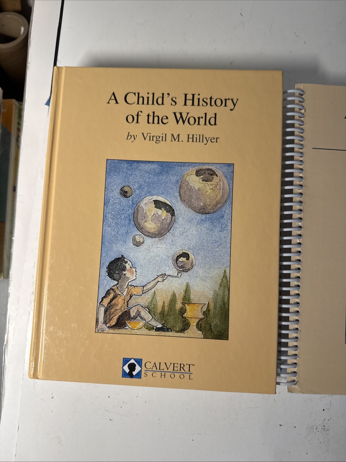 A CHILD&rsquo;S HISTORY OF THE WORLD Workbook, Manual, text Calvert Homeschool Unused