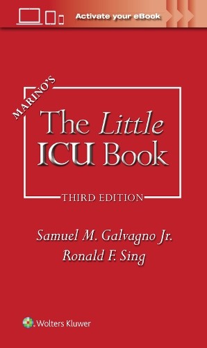 Samuel M. Galvagno PAUL L. MARINO Ronald Fon Marino&rsquo;s The Little IC (Paperback)