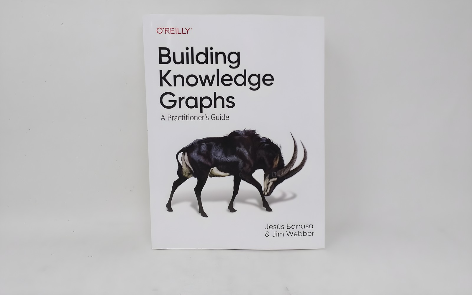 O&rsquo;Reilly Media Building Knowledge Graphs 9781098127107 Barrasa Webber Paperback