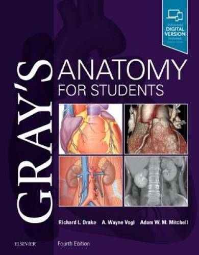Gray&rsquo;s Anatomy for Students – Paperback By Drake PhD FAAA, Richard – VERY GOOD