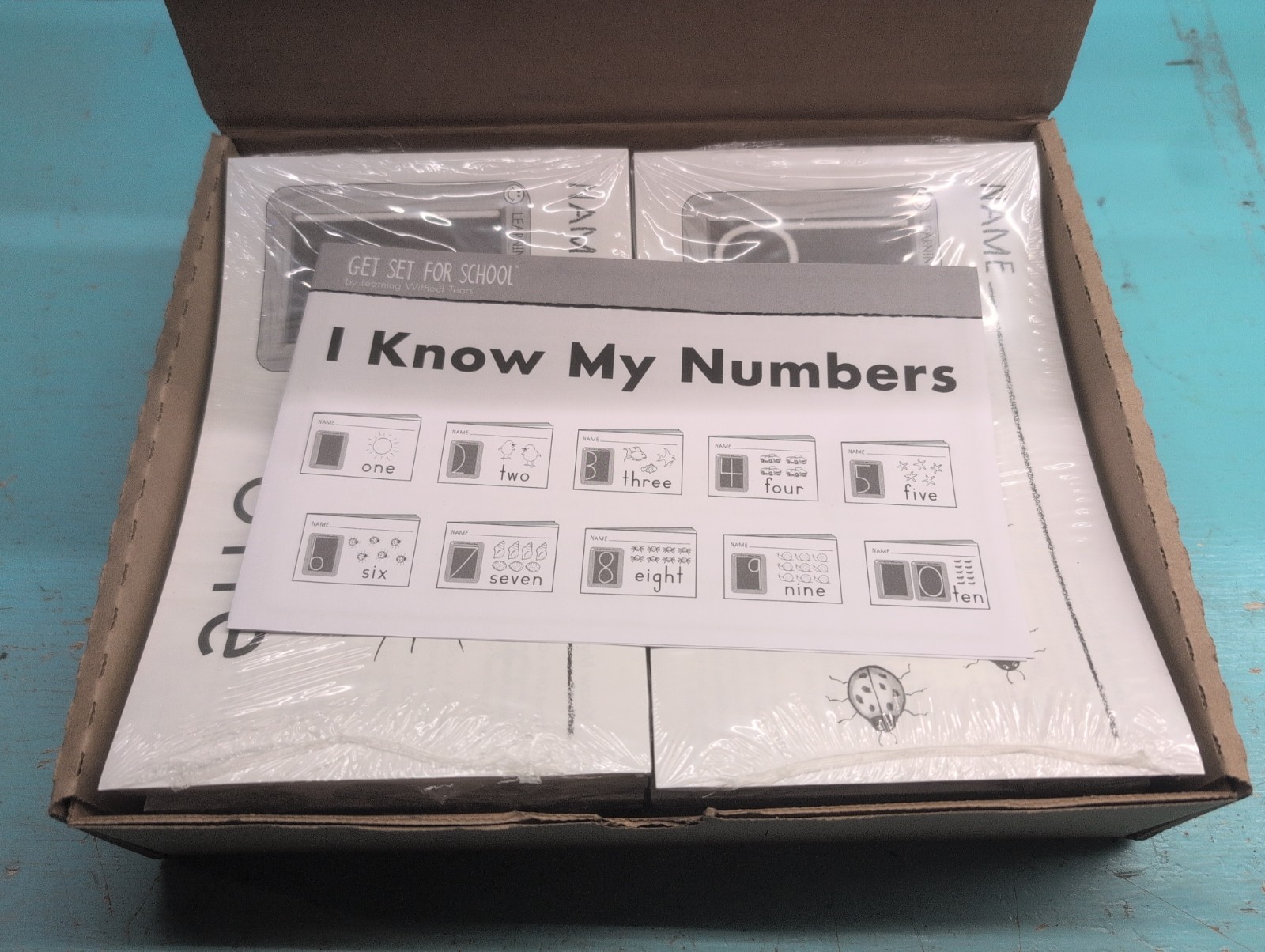 Learning Without Tears – I know My Numbers – 100 Activity Books – 10 For Each #