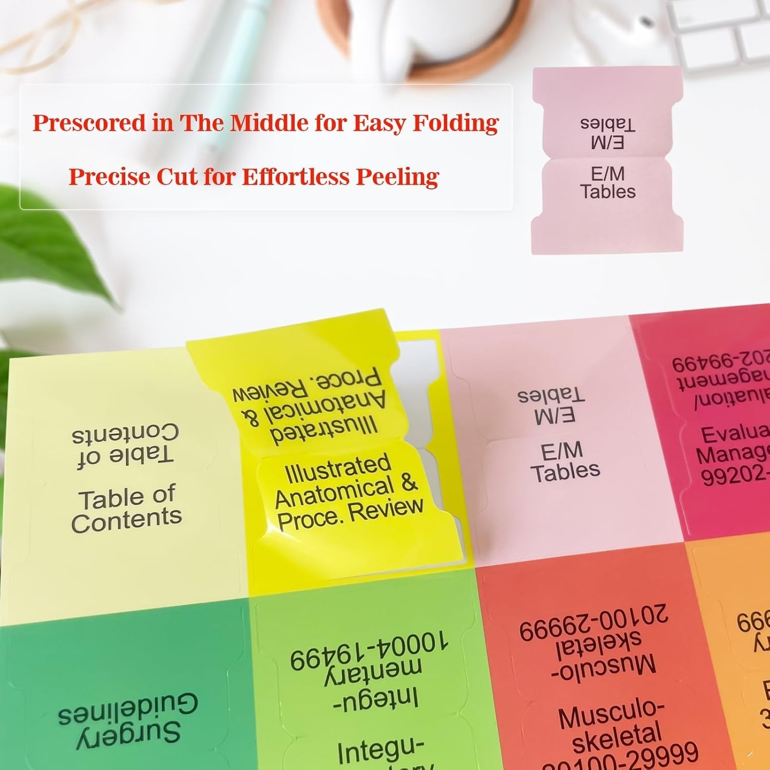Comprehensive Index Tabs Set for Medical Coding