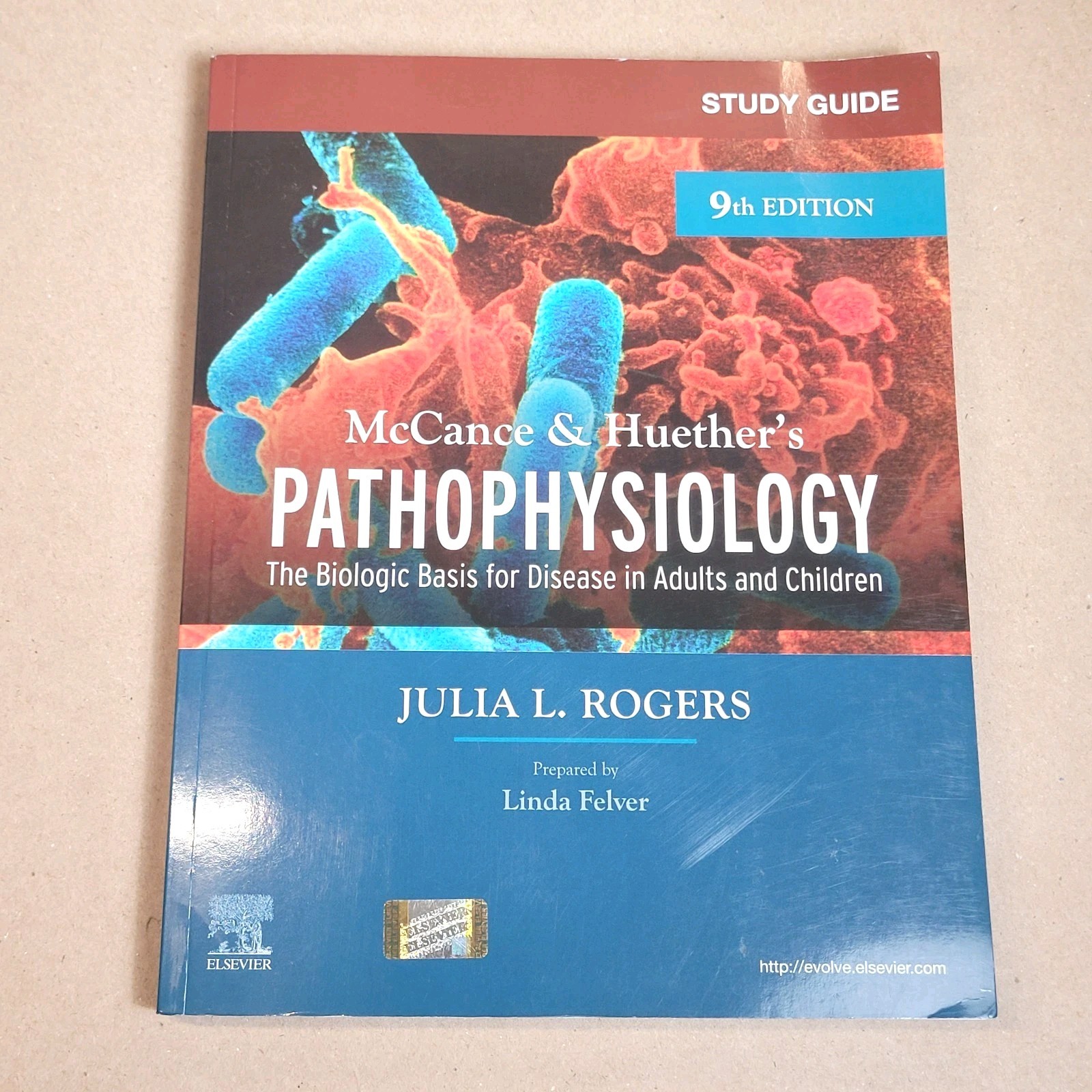 Study Guide for Mccance and Huether&rsquo;s Pathophysiology Paperback