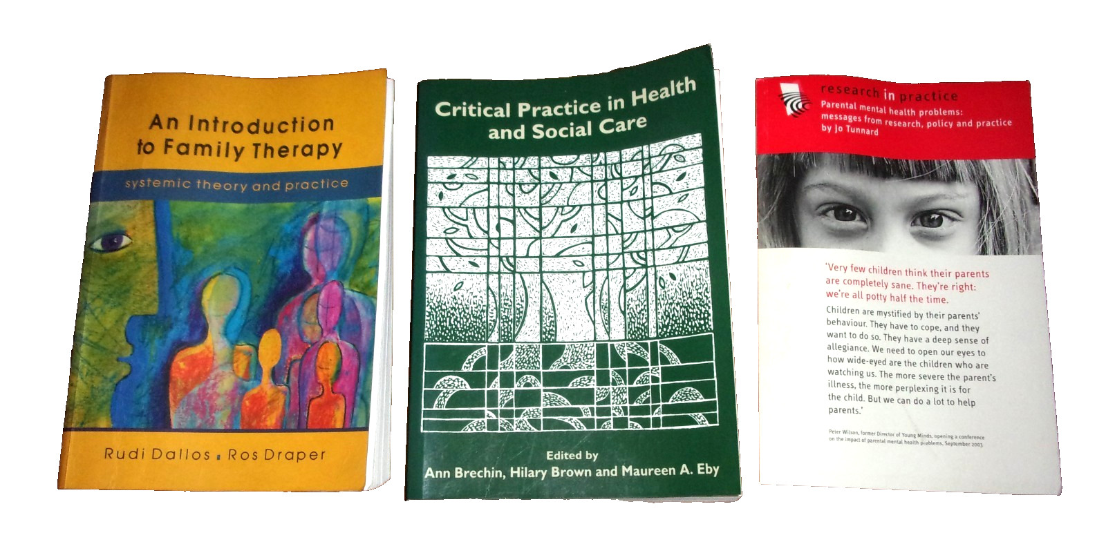 JOB LOT: Child and Family Social Work Books Family Therapy Rudi Dallos + Draper