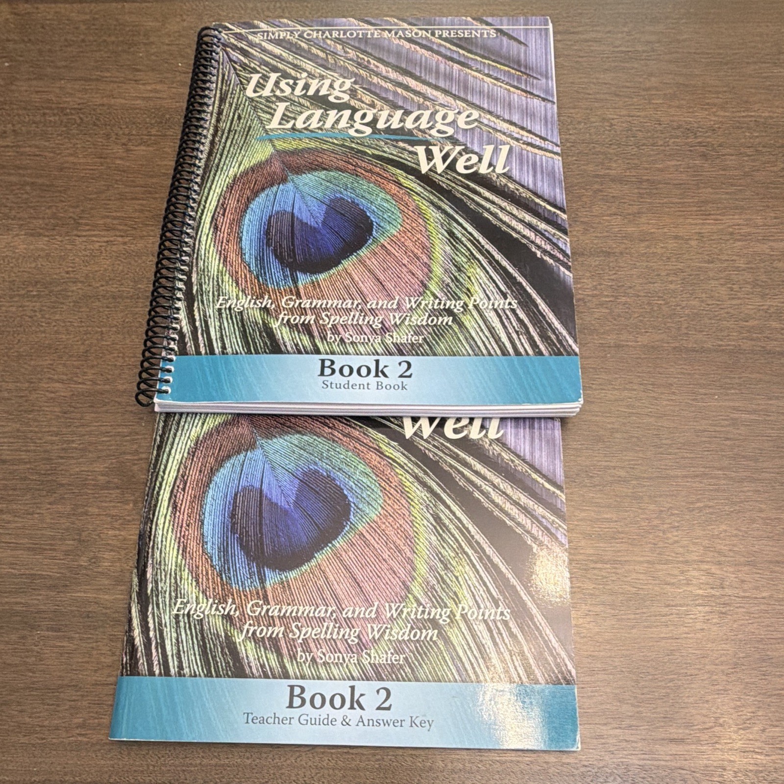 Using Language Well Books