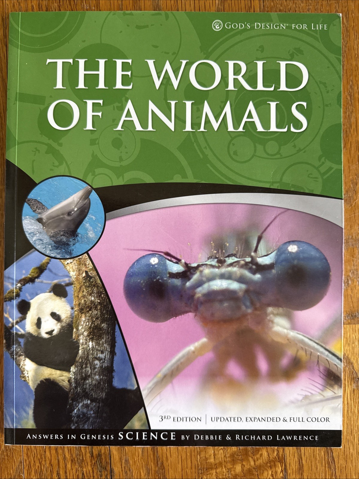 MFW My Father’s World Exploration To 1850 Homeschool Curriculum Partial Set Used