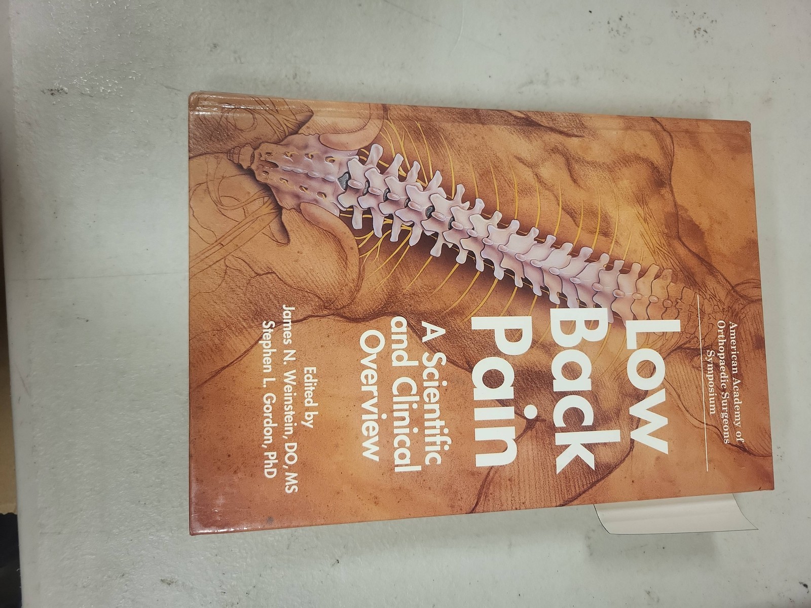 Low Back Pain Scientific and Clinical Overview AAOS Symposium Medical Textbook