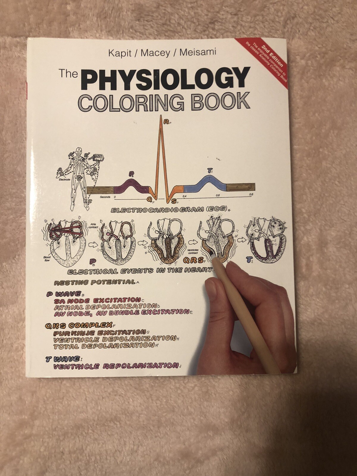 The Physiology Coloring Book by Elson Kapit Esmail Meisami Robert I Macey 2nd Ed