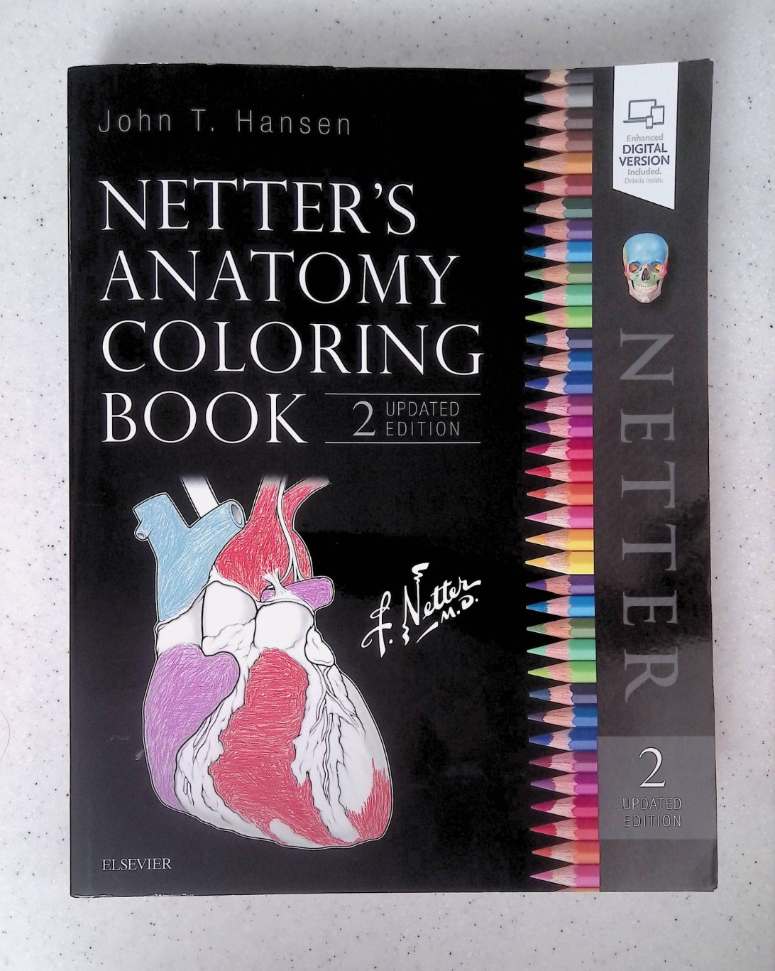 Netter&rsquo;s Anatomy Coloring Book by – John T. Hansen, 2nd Ed, Large Paperback 2018