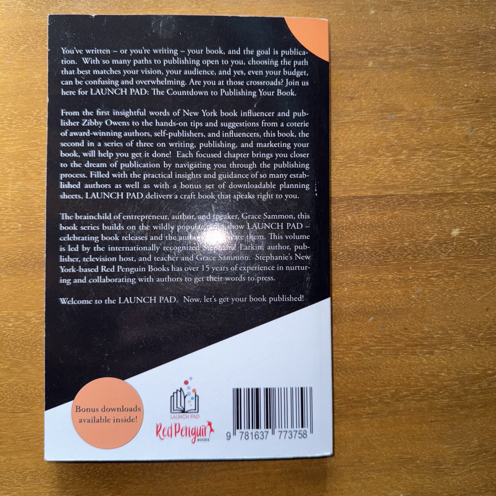 Launch Pad: The Countdown to Publishing Your Book by Stephanie Larkin Paperback