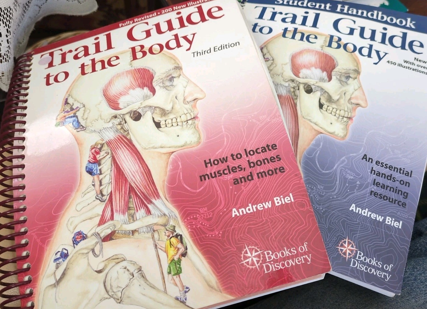 Trail Guide to the Body 3e : How to Locate Muscles Bones Andrew Biel w Student