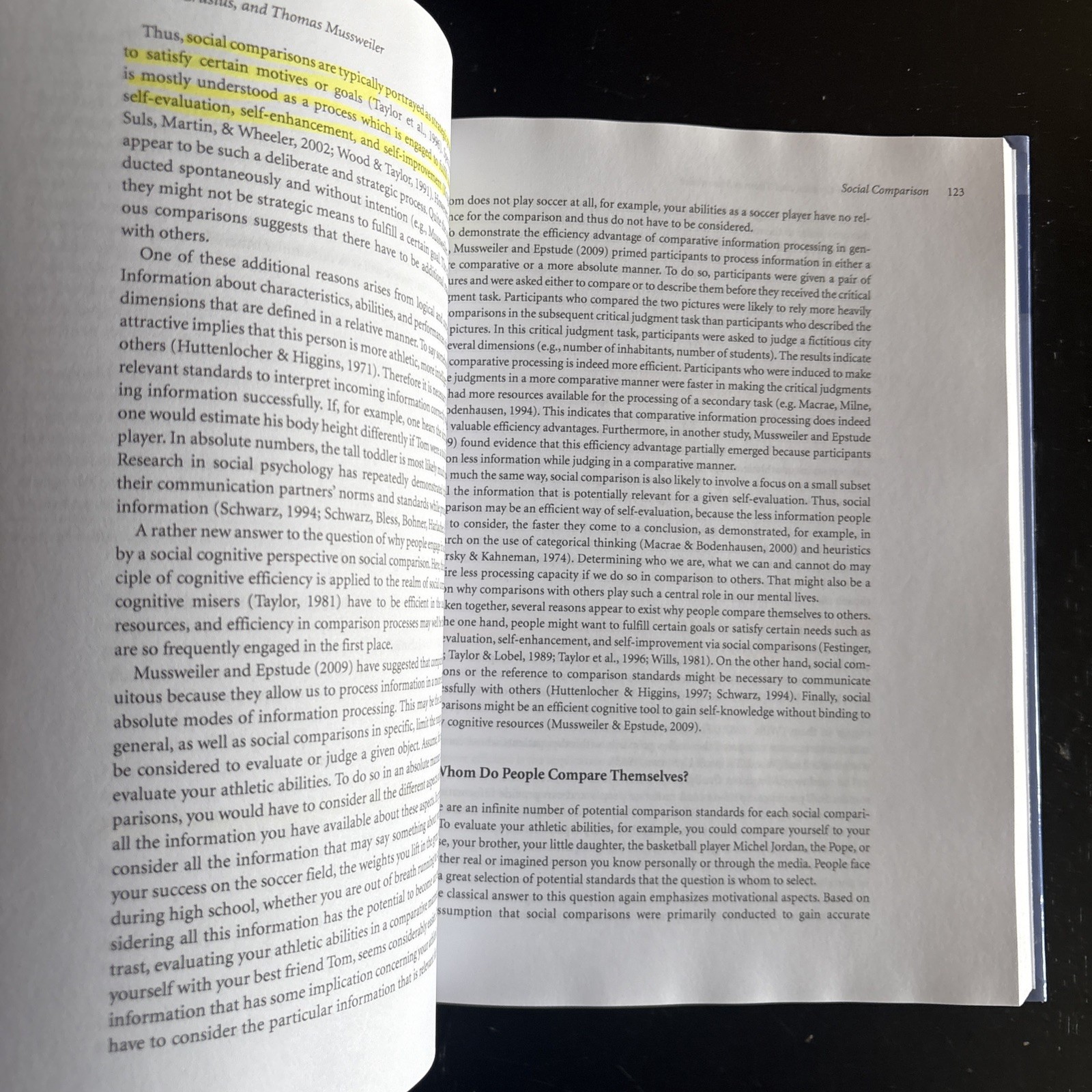 Theories in Social Psychology by Derek Chadee (2011, Hardcover)