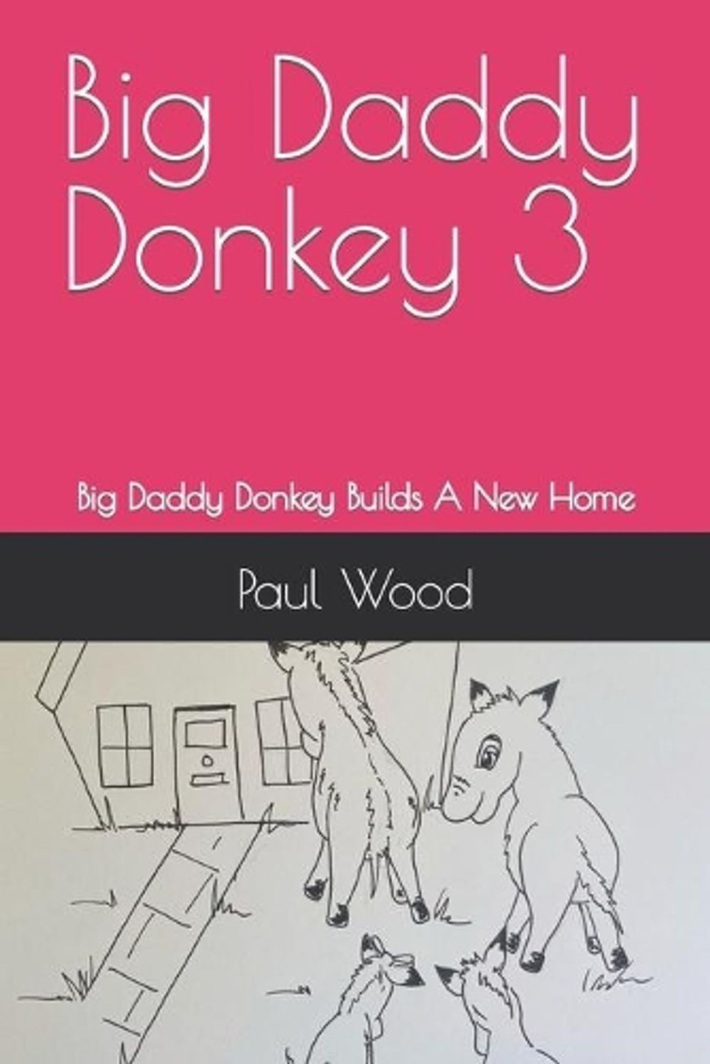 Big Daddy Donkey 3: Big Daddy Donkey Builds A New Home by Paul Wood (English) Pa