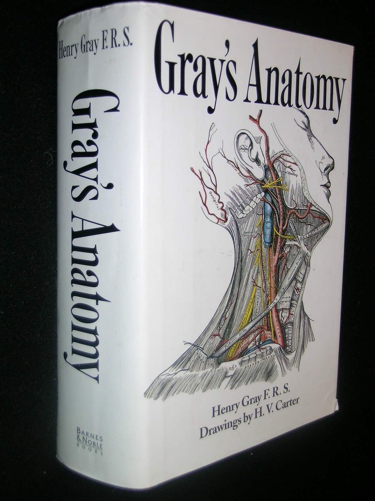Gray&rsquo;s Anatomy