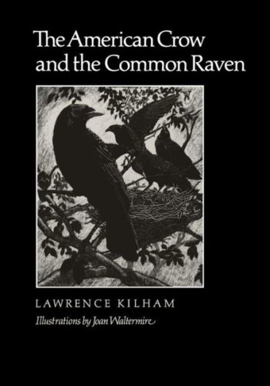 The American Crow & Common Raven