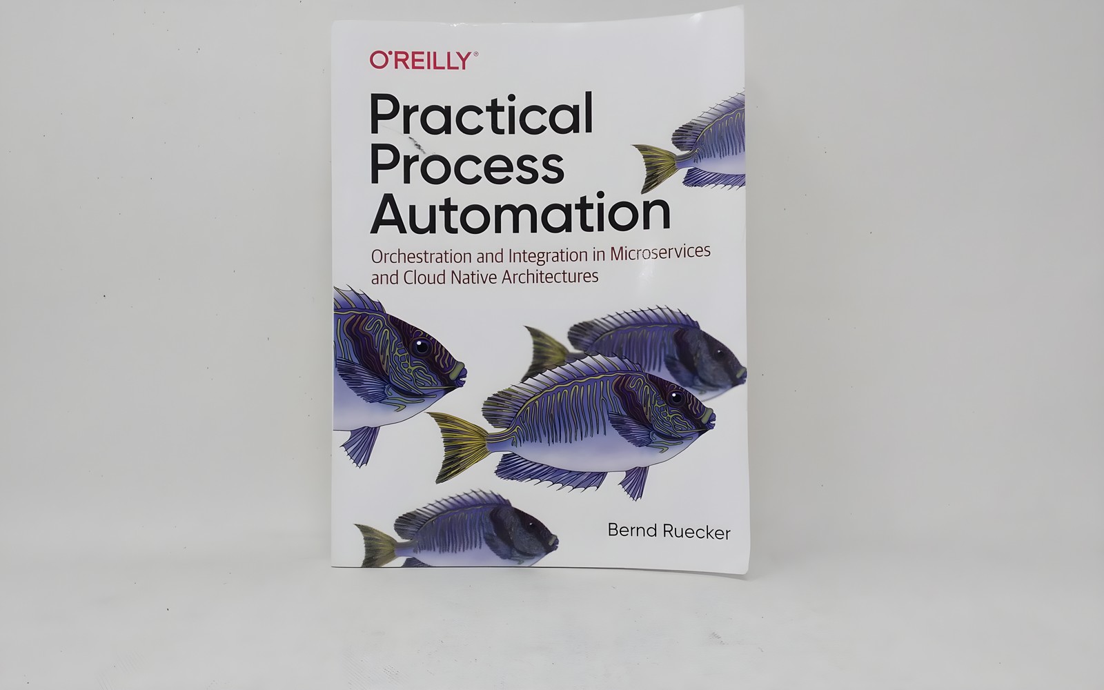 O&rsquo;Reilly Media Practical Process Automation 9781492061458 Bernd Ruecker