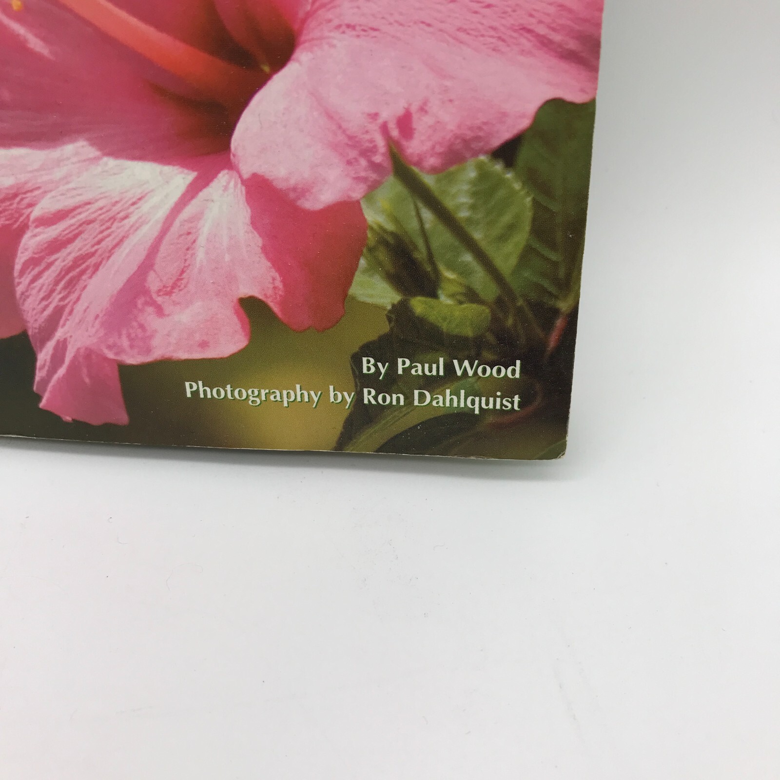 Flowers and Plants of Hawai&rsquo;i Book Pocket Guide by Paul Wood Paperback
