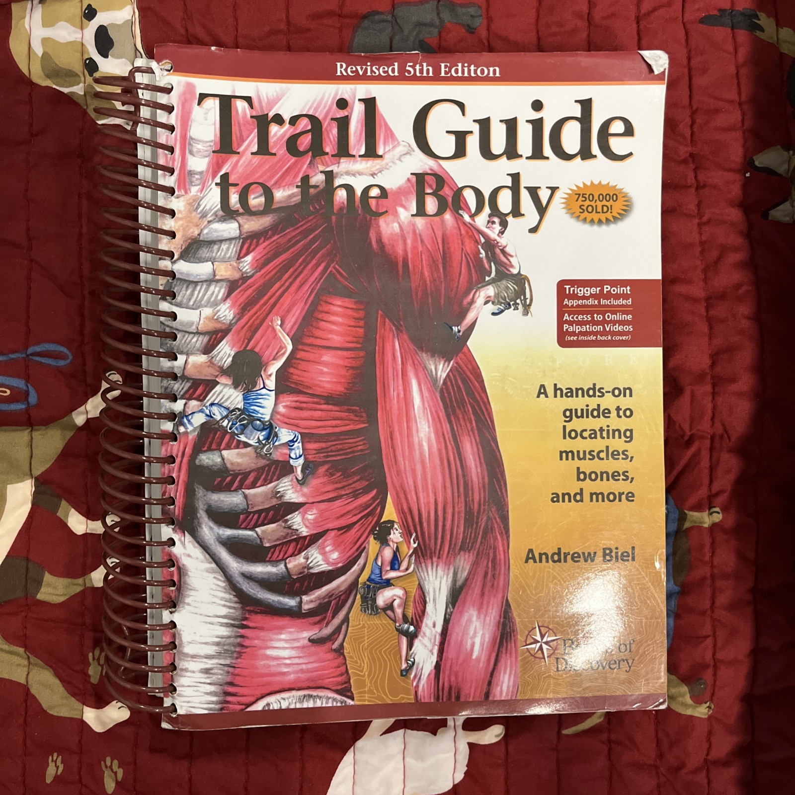 Trail Guide to the Body: How to Locate Muscles, Bones and More