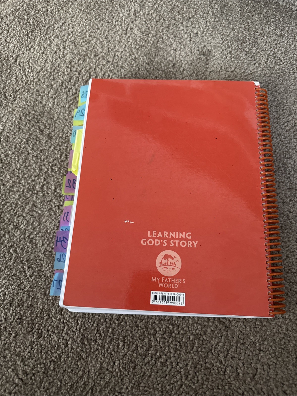 My Father&rsquo;s World Learning God Story First Grade Curriculum Teachers Manual