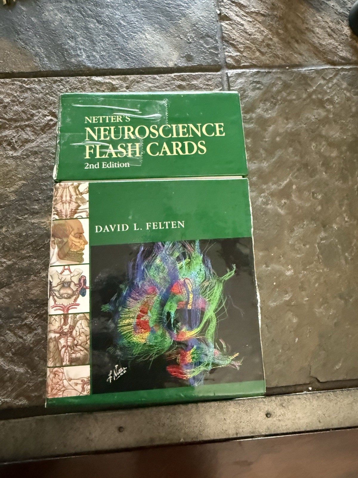 Netter Basic Science Ser.: Netter&rsquo;s Neuroscience Flash Cards by David L. Felten
