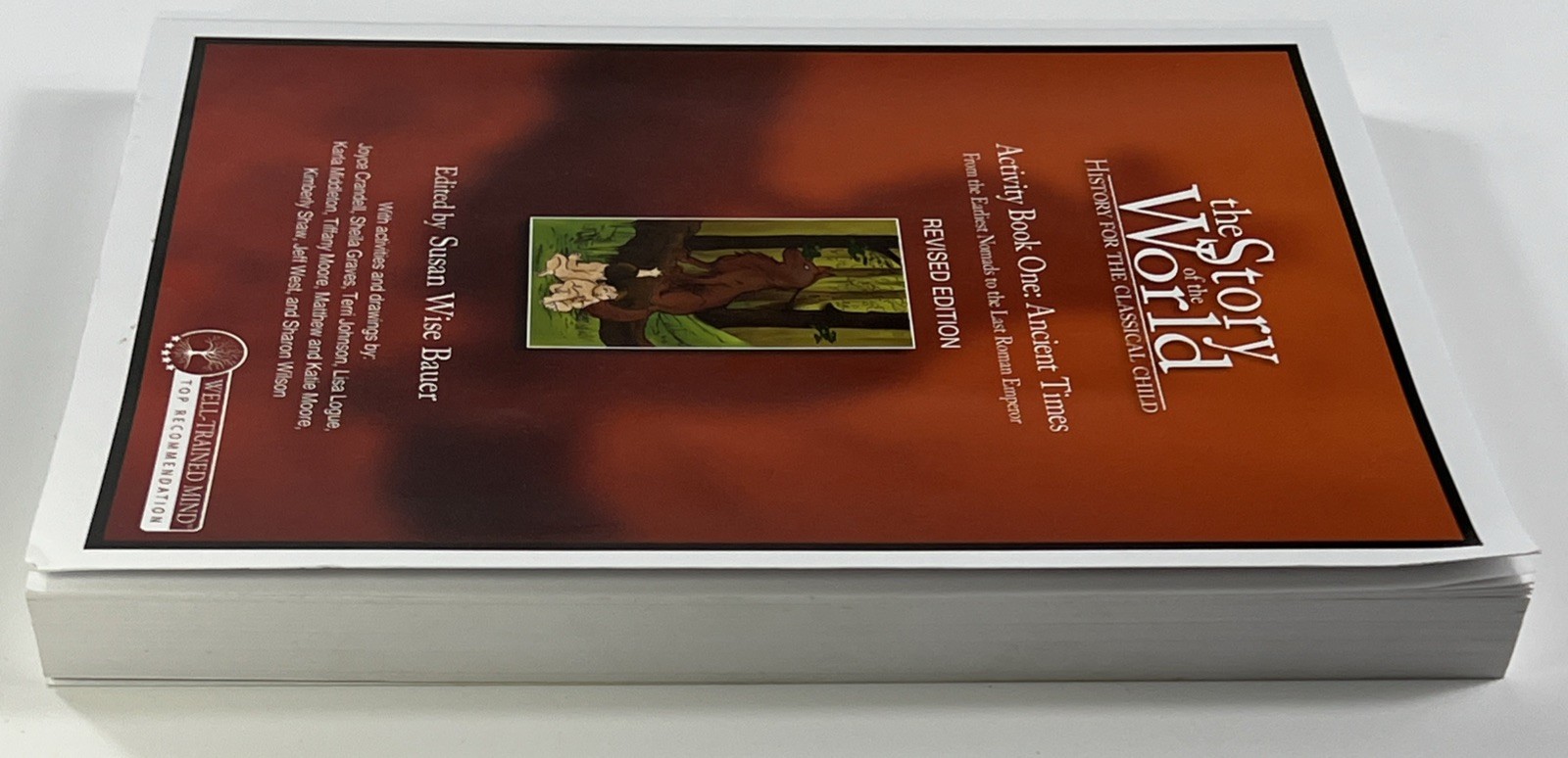 The Story of the World: Activity Book One: Ancient Times READ