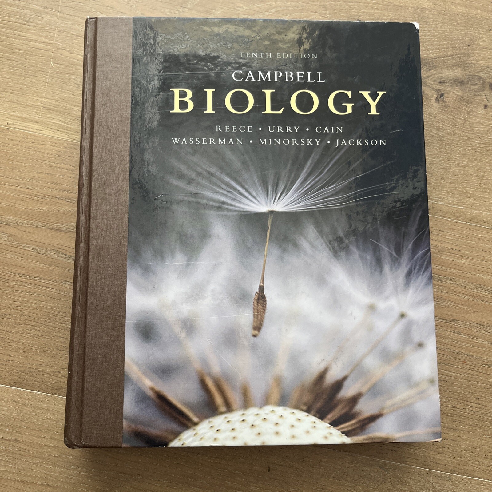 Campbell Biology by Peter V. Minorsky, Robert B. Jackson, Michael L. Cain, Lisa