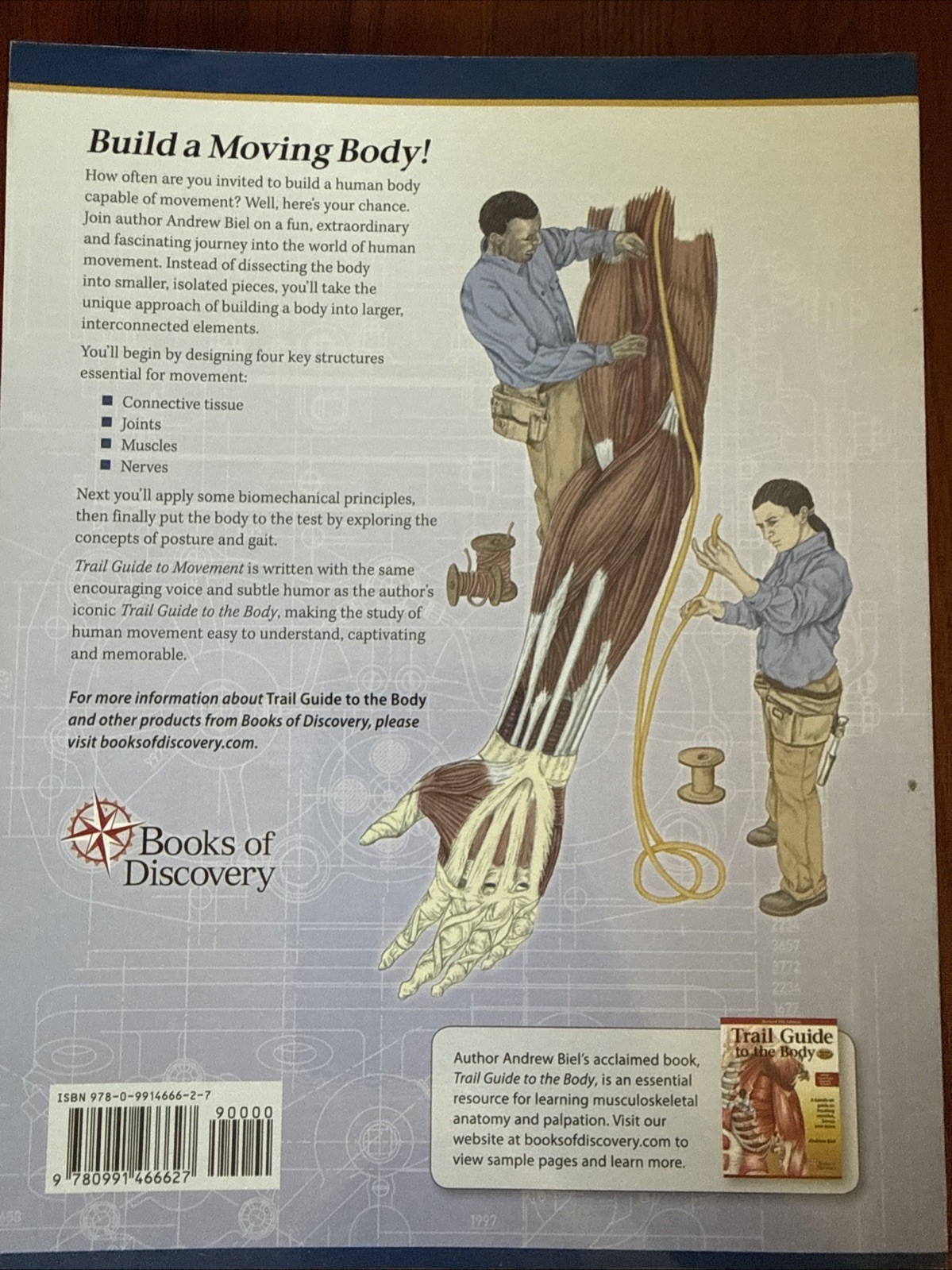 Trail Guide to Movement 1e : Building the Body in Motion by Andrew Biel…